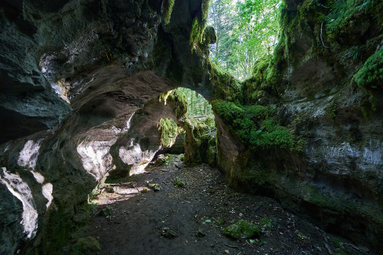 Sentier karstique des Malrochers à Besain, près de Poligny 11